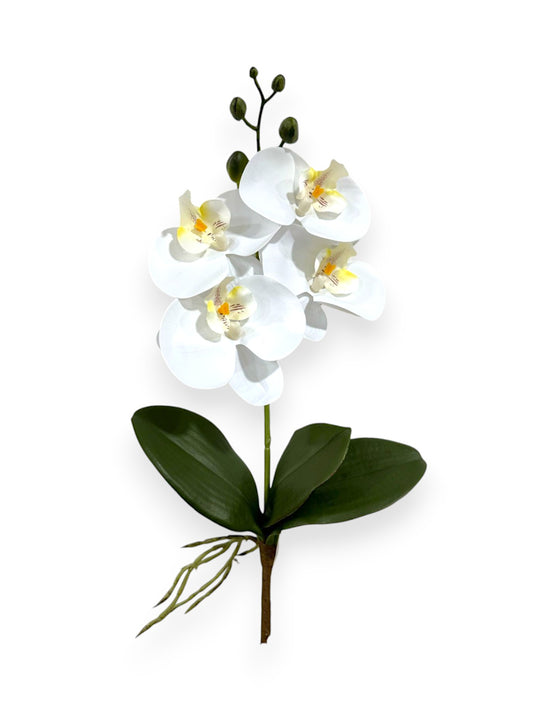 PHALAENOPSIS SPRAY 17"
