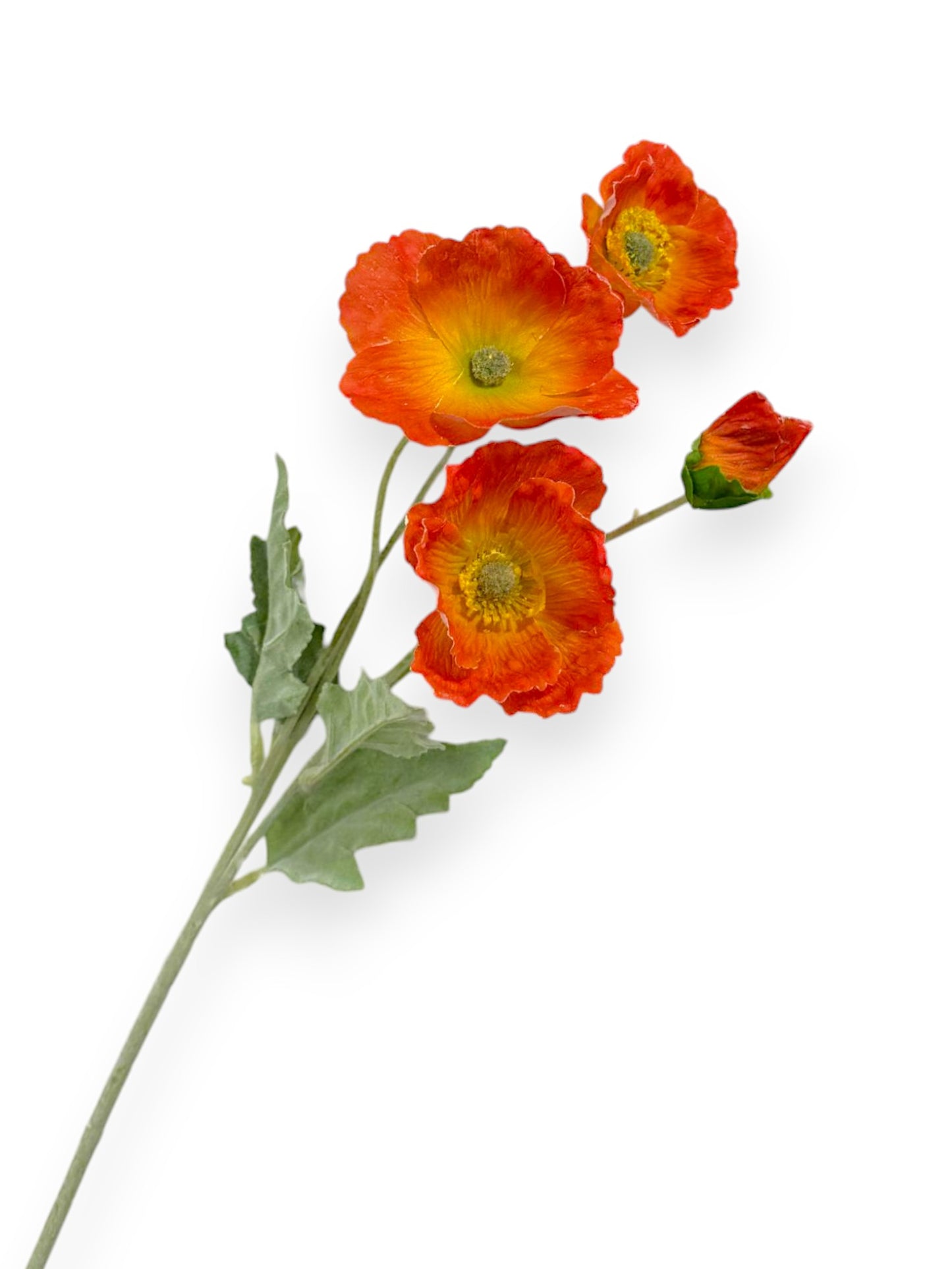 POPPY NAT TOUCH 25"