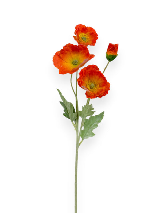 POPPY NAT TOUCH 25"