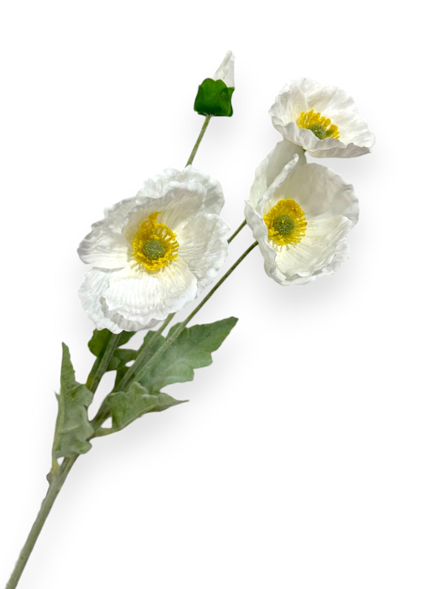 POPPY NAT TOUCH 25"