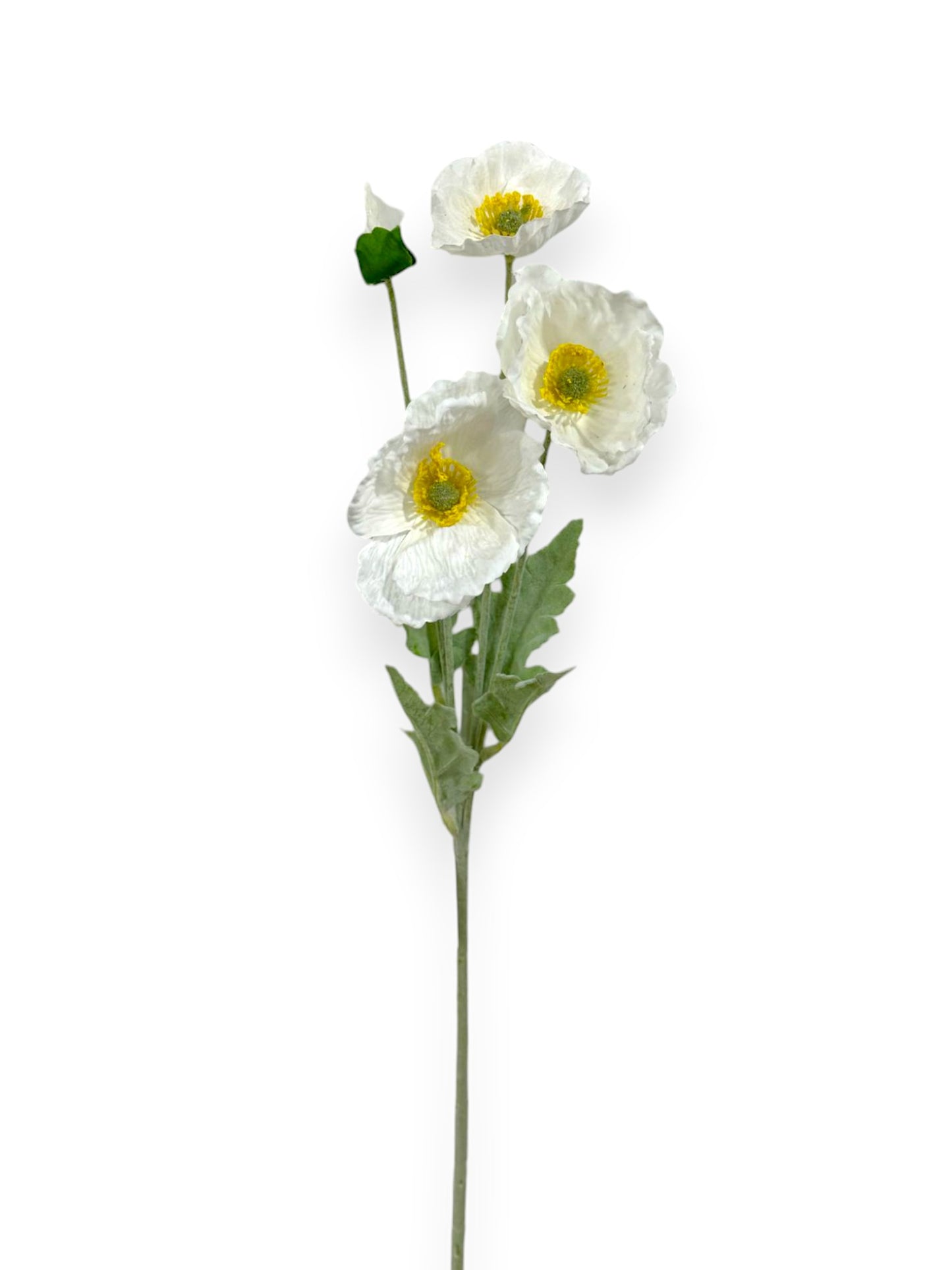 POPPY NAT TOUCH 25"