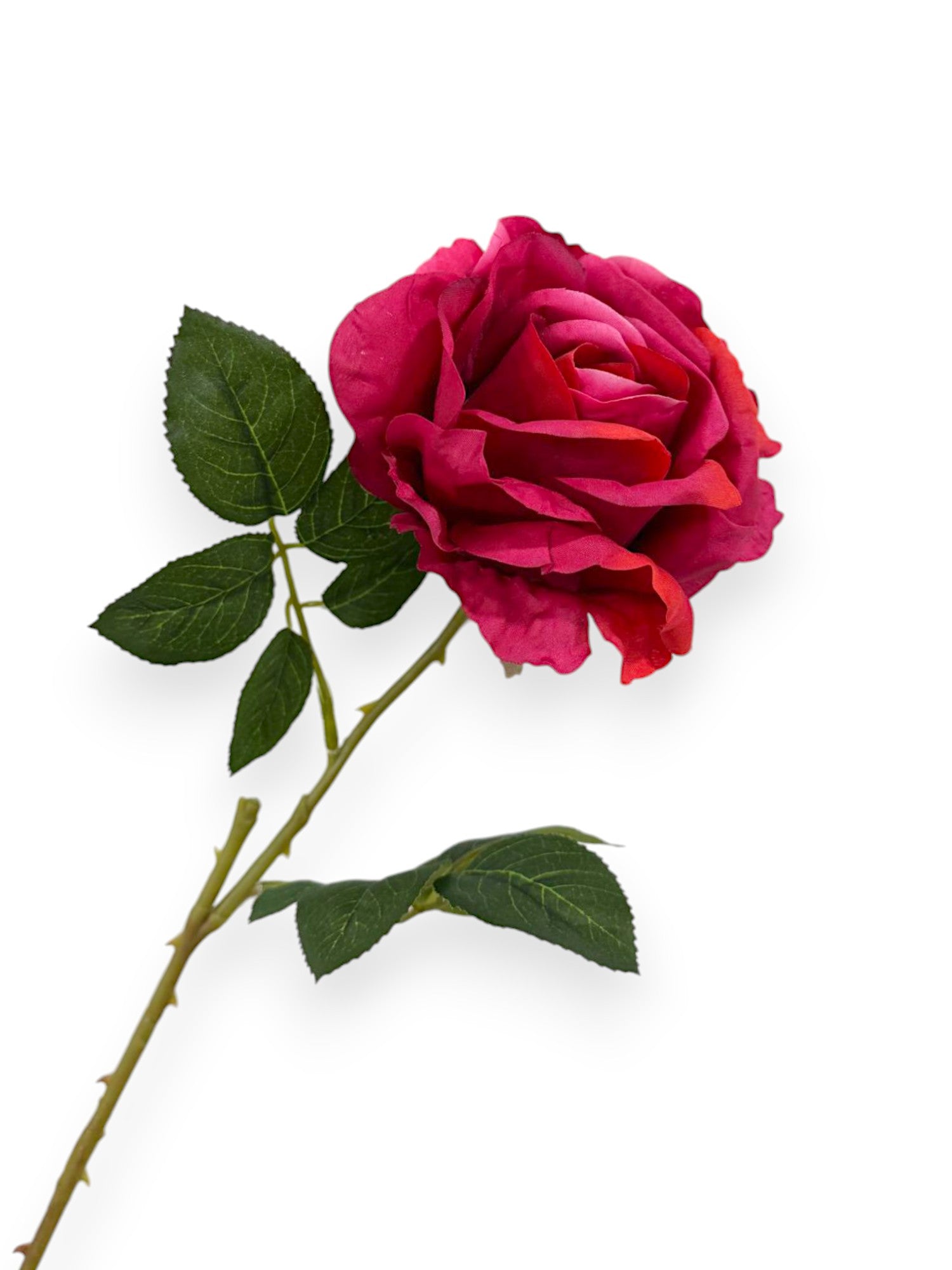 ROSE SPRAYX1 22"