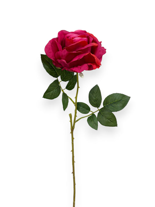 ROSE SPRAYX1 22"