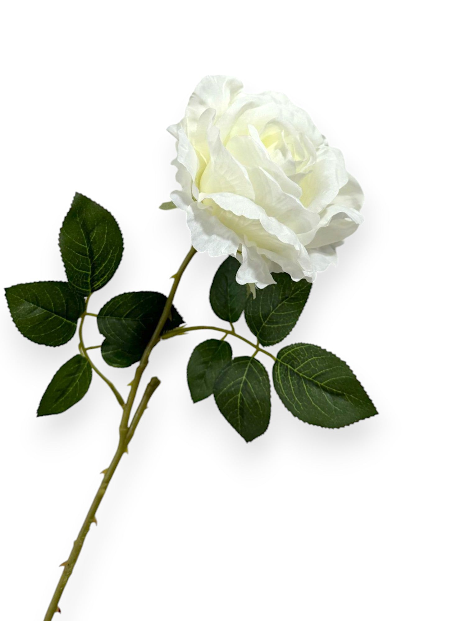ROSE SPRAYX1 22"