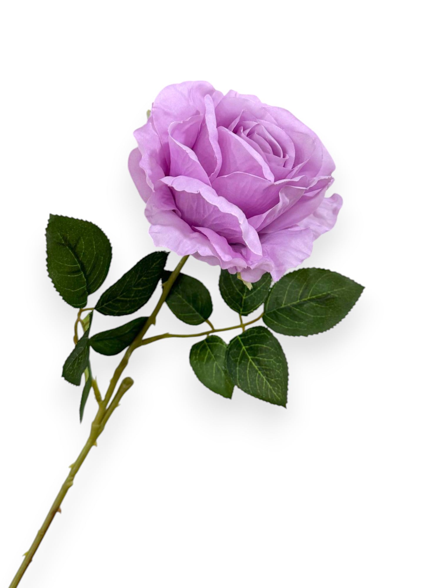 ROSE SPRAYX1 22"
