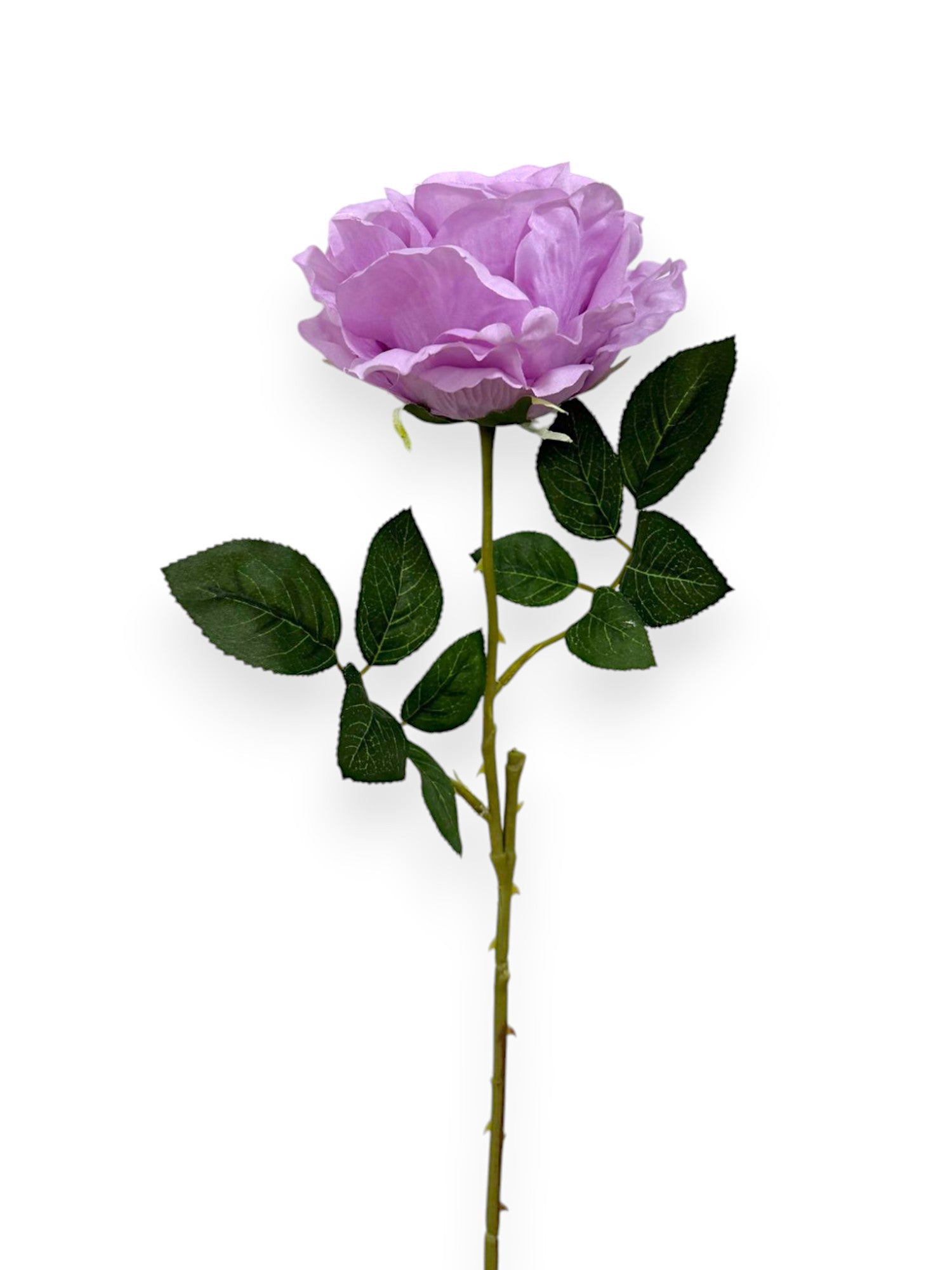 ROSE SPRAYX1 22"