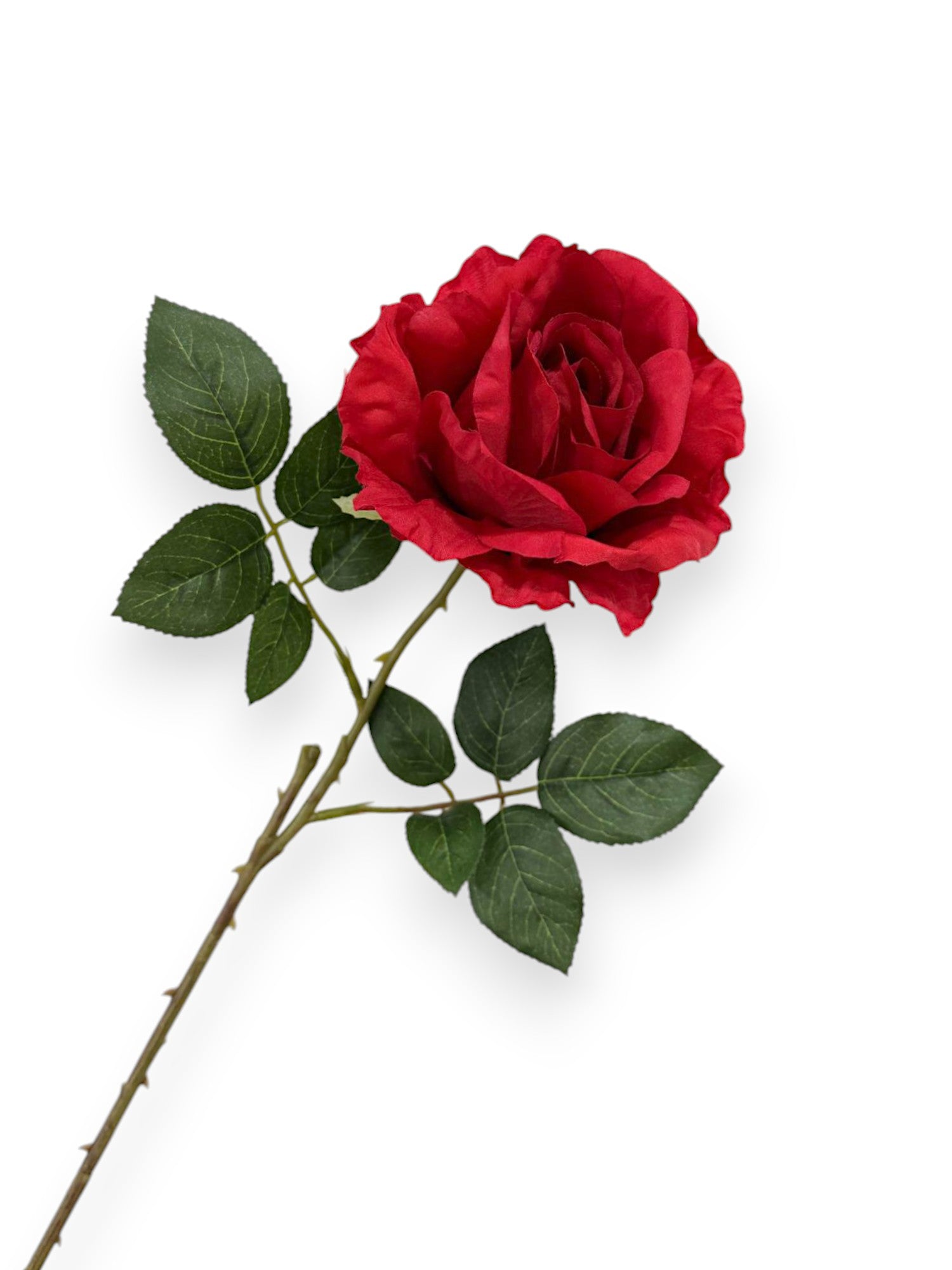 ROSE SPRAYX1 22"