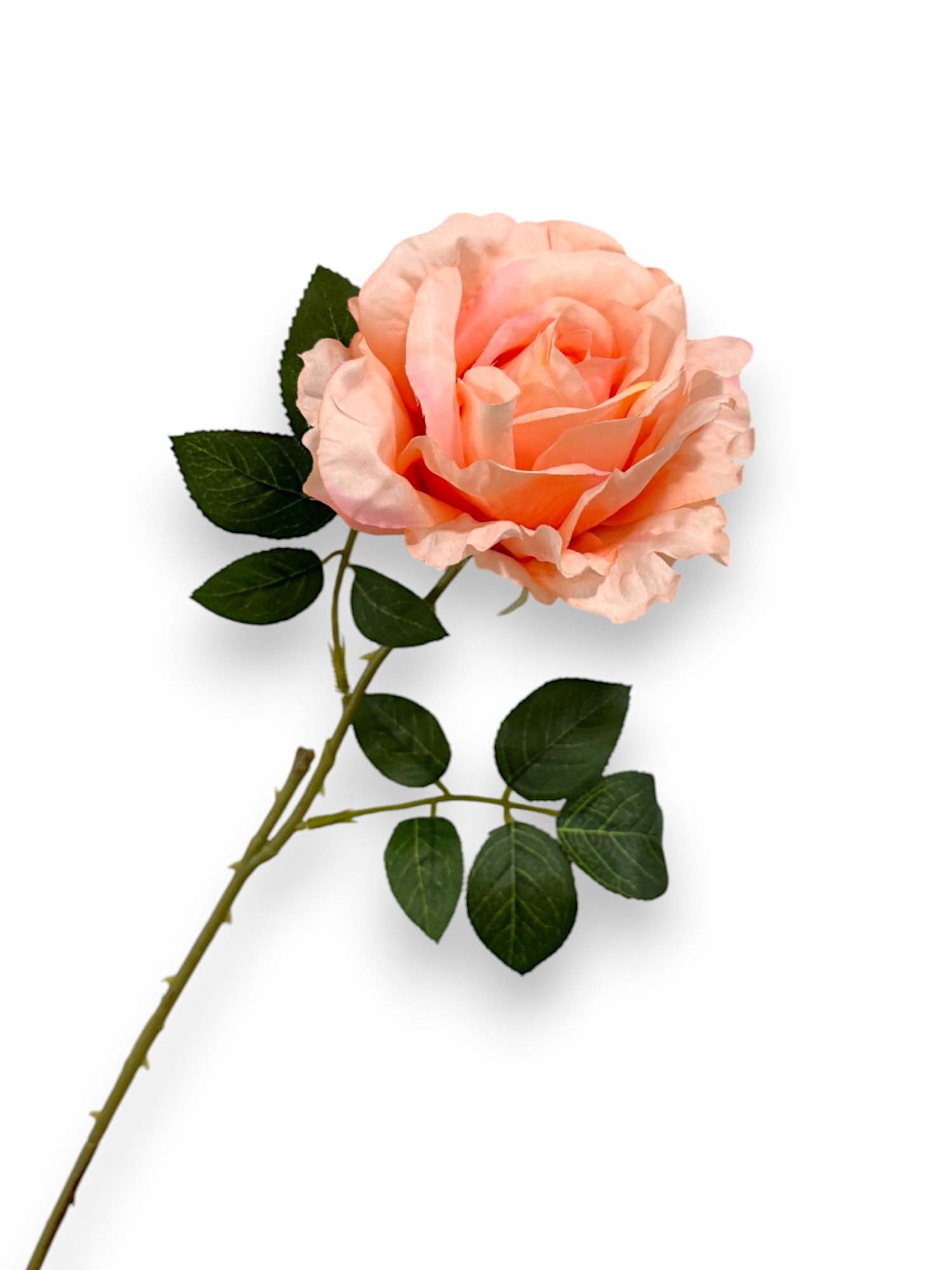 ROSE SPRAYX1 22"