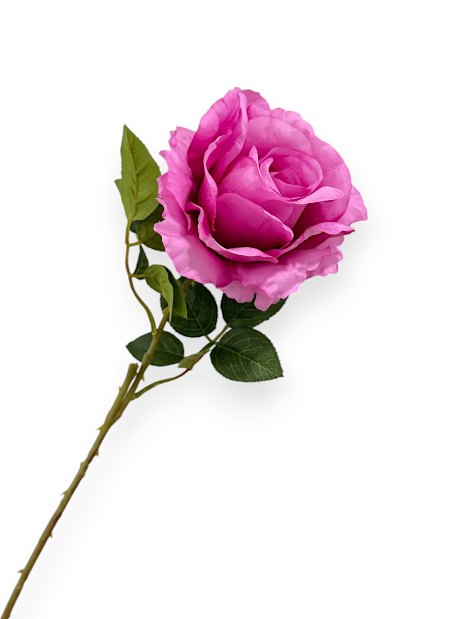 ROSE SPRAYX1 22"
