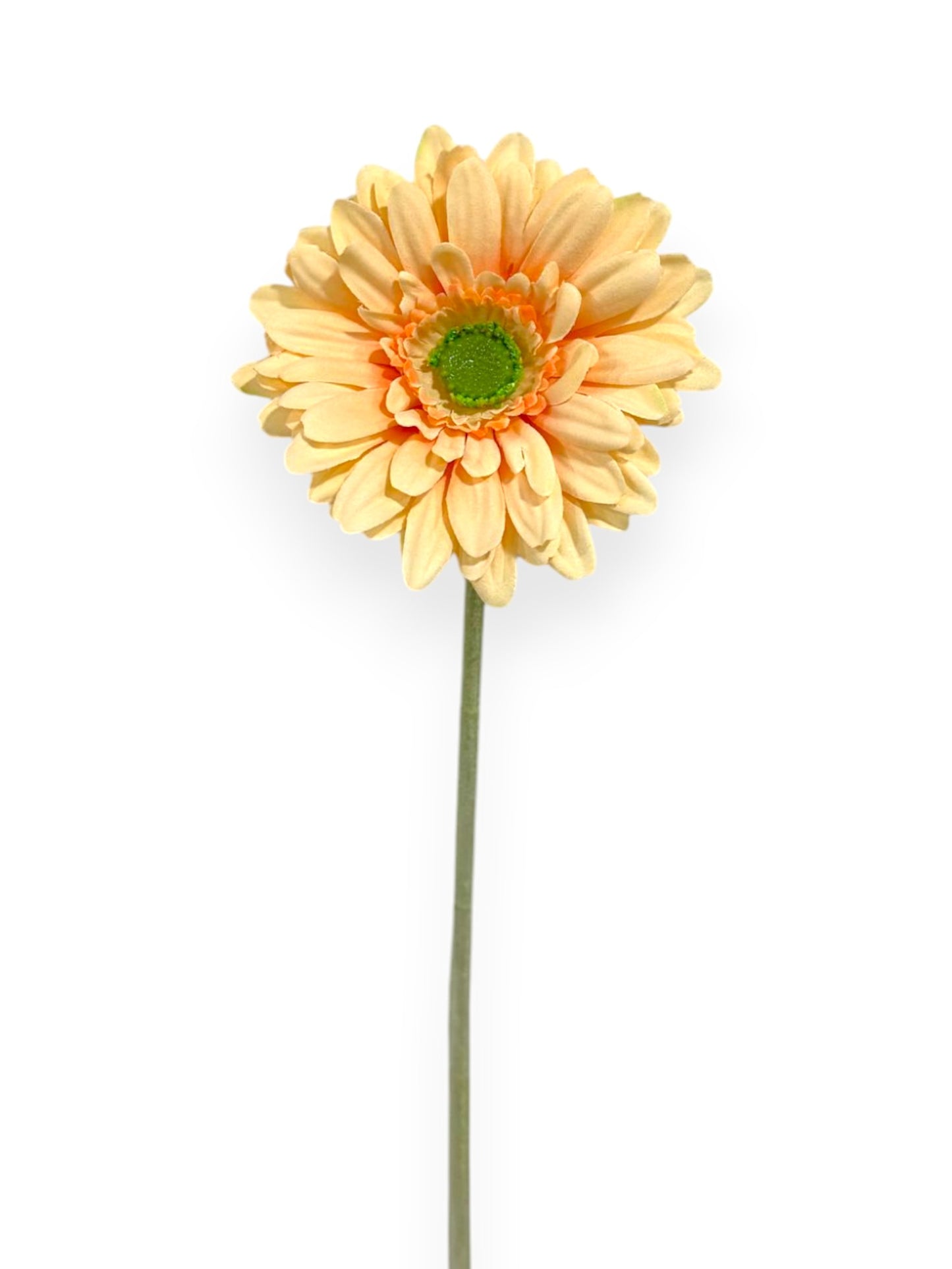 GERBERA SPRAY 57CM