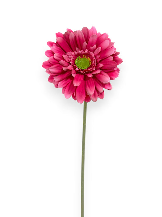 GERBERA SPRAY 57CM