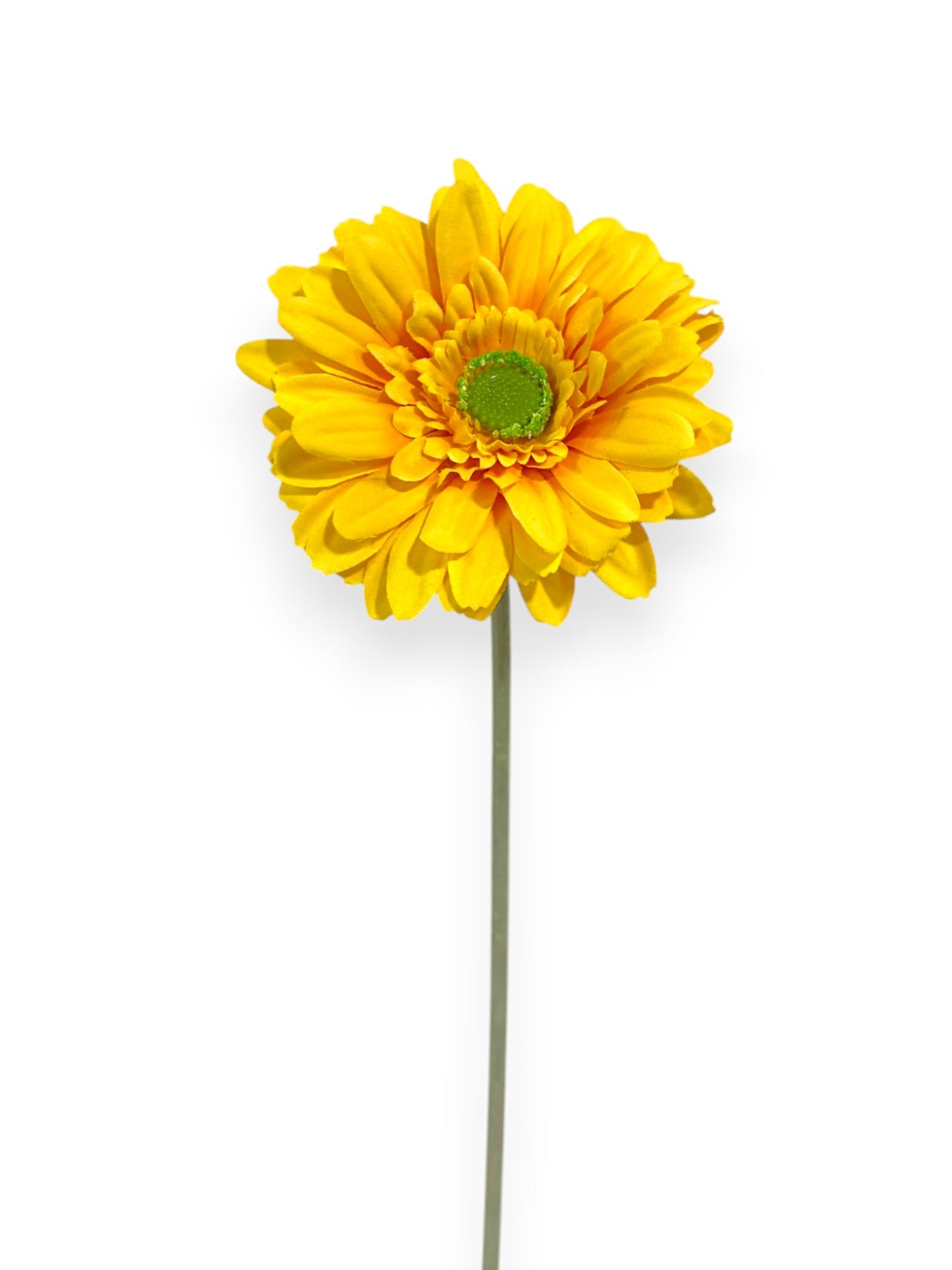 GERBERA SPRAY 57CM