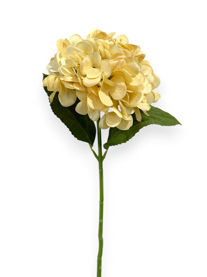 HYDRANGEA 7"BLOOM 2LV