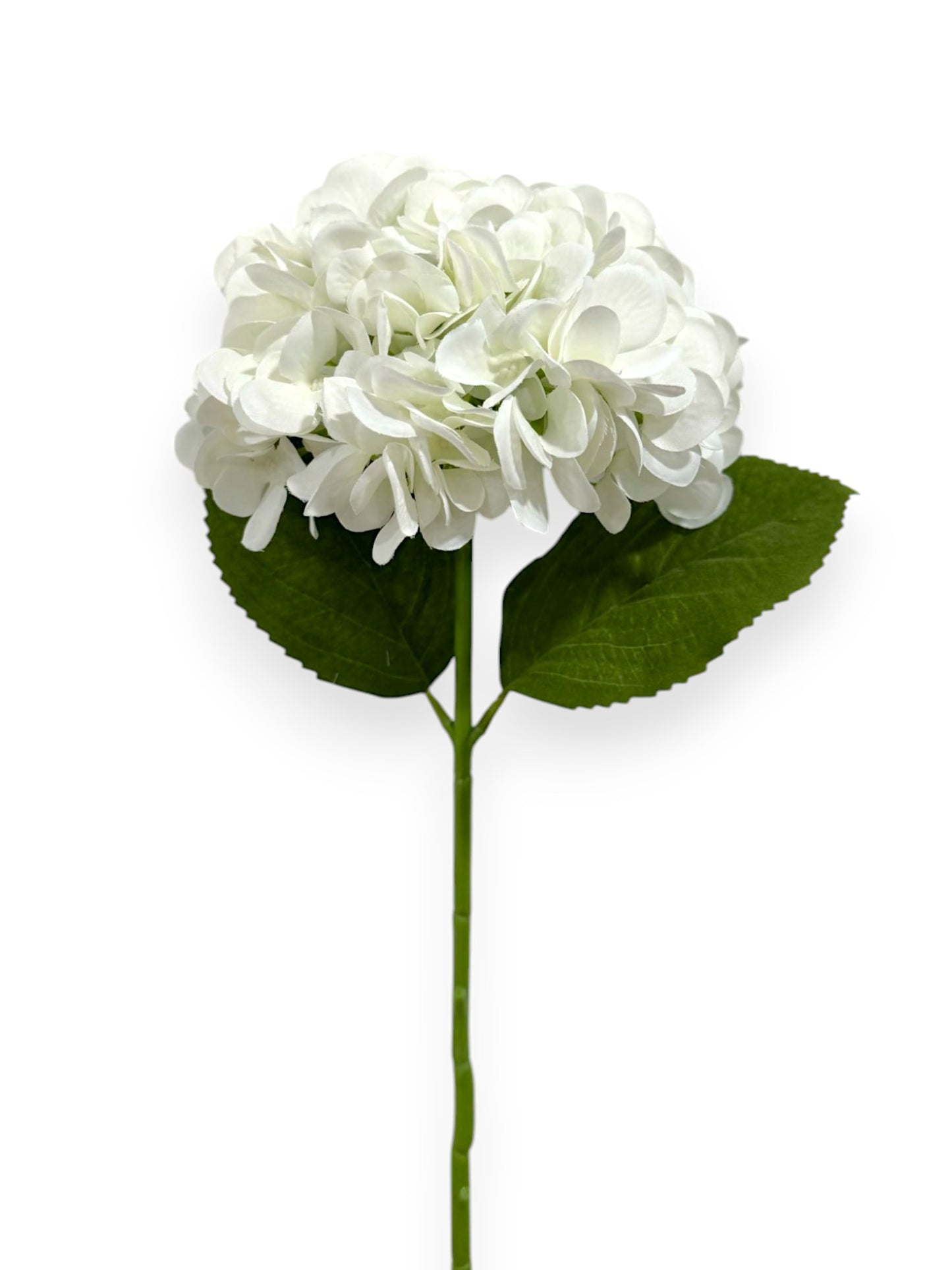HYDRANGEA 7"BLOOM 2LV