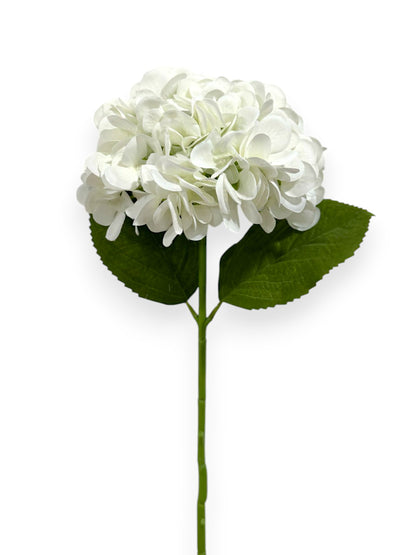 HYDRANGEA 7"BLOOM 2LV