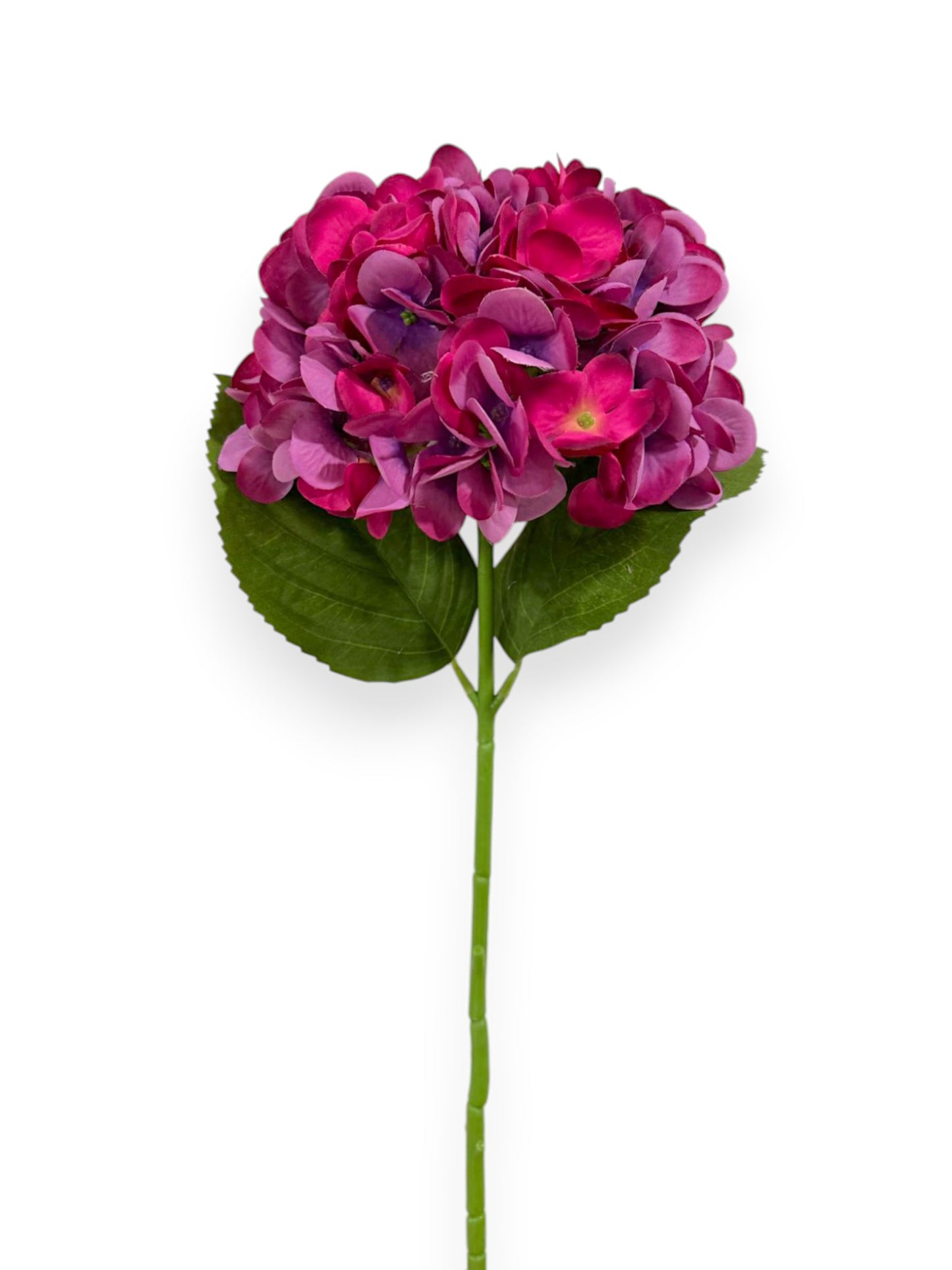 HYDRANGEA 7"BLOOM 2LV