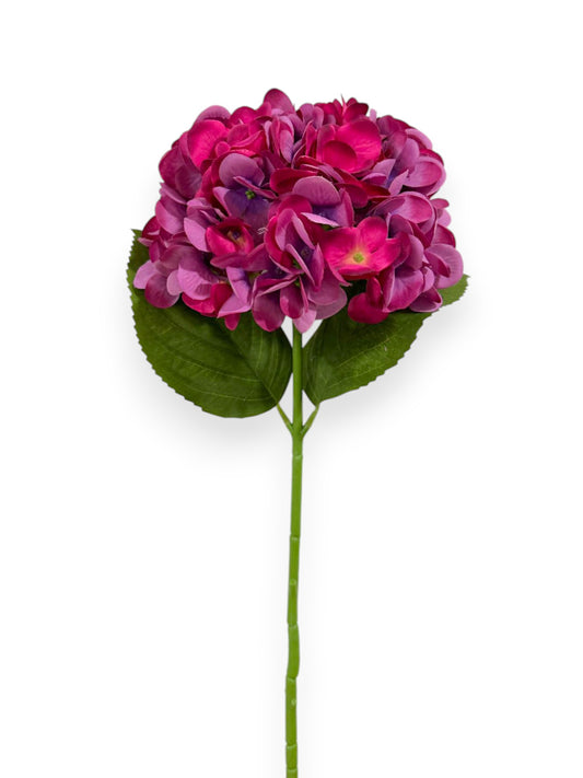 HYDRANGEA 7"BLOOM 2LV