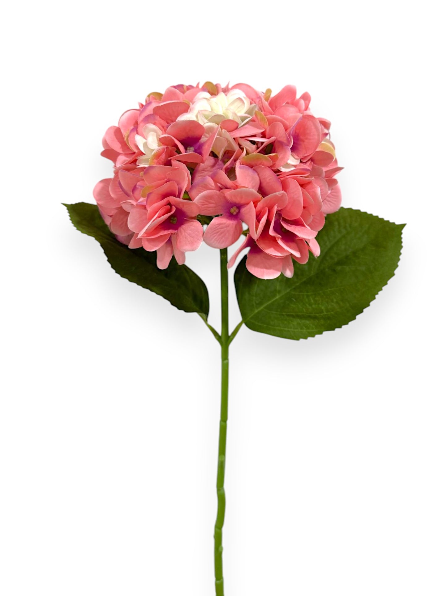 HYDRANGEA 7"BLOOM 2LV