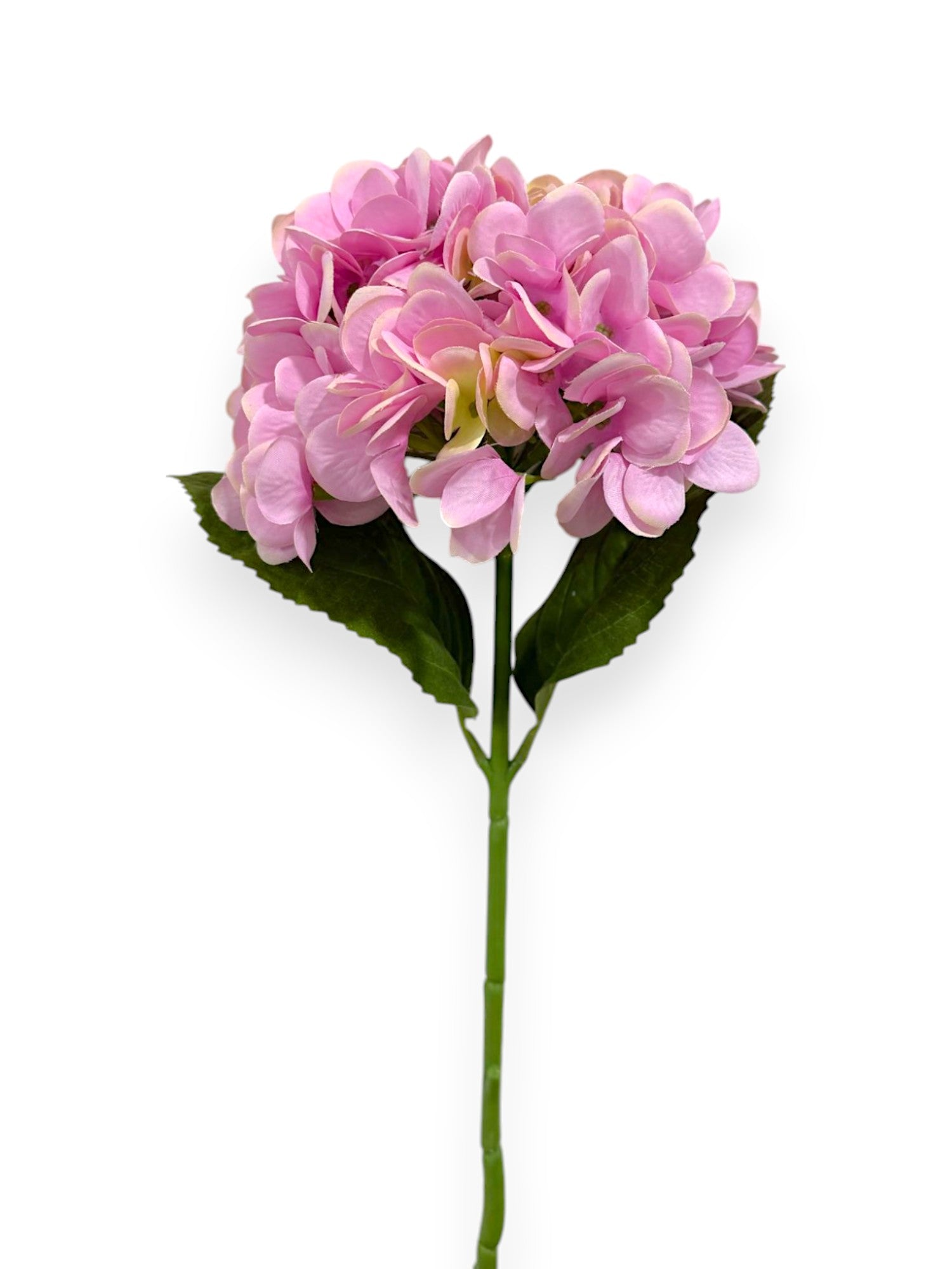 HYDRANGEA 7"BLOOM 2LV