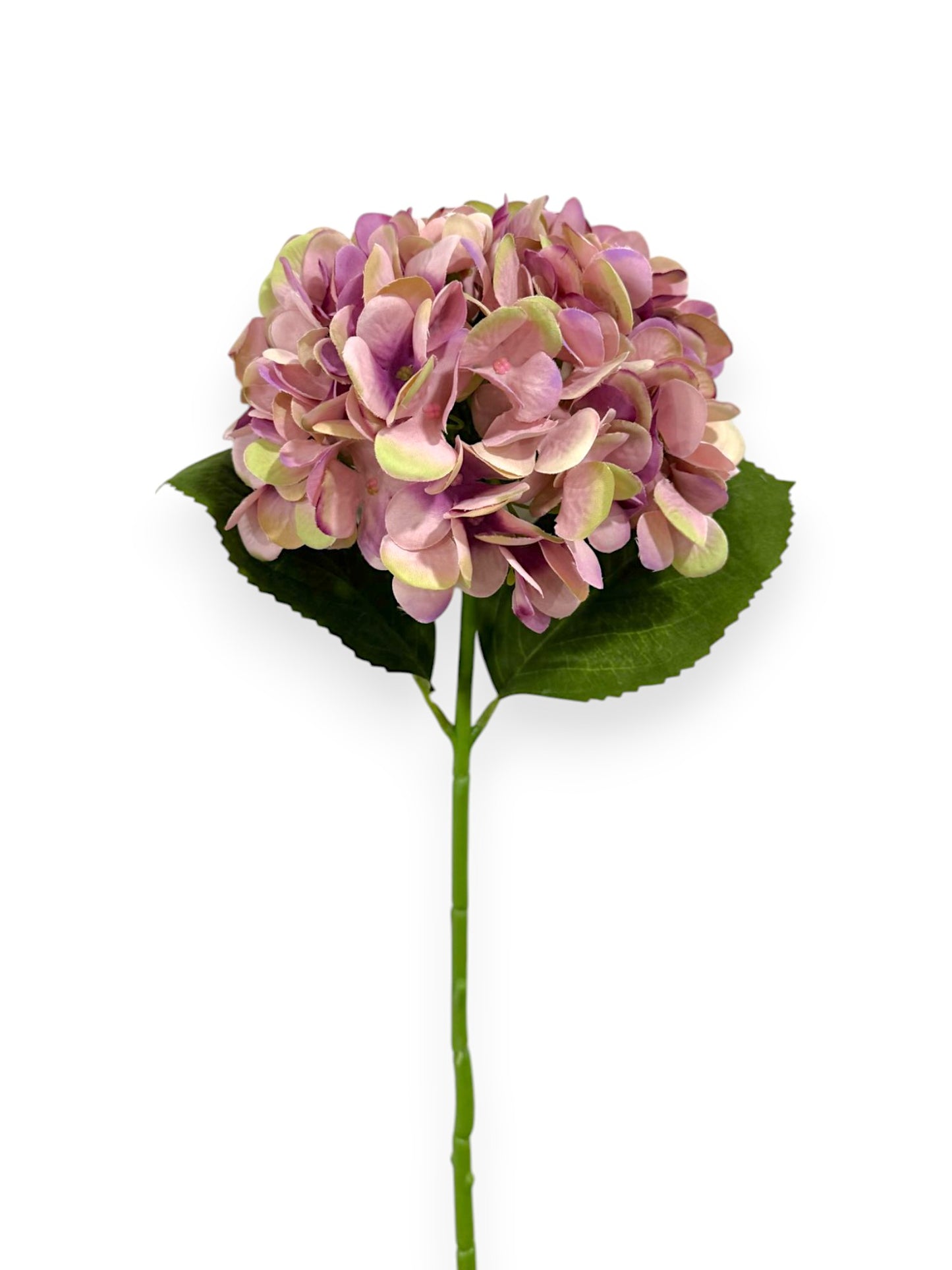 HYDRANGEA 7"BLOOM 2LV