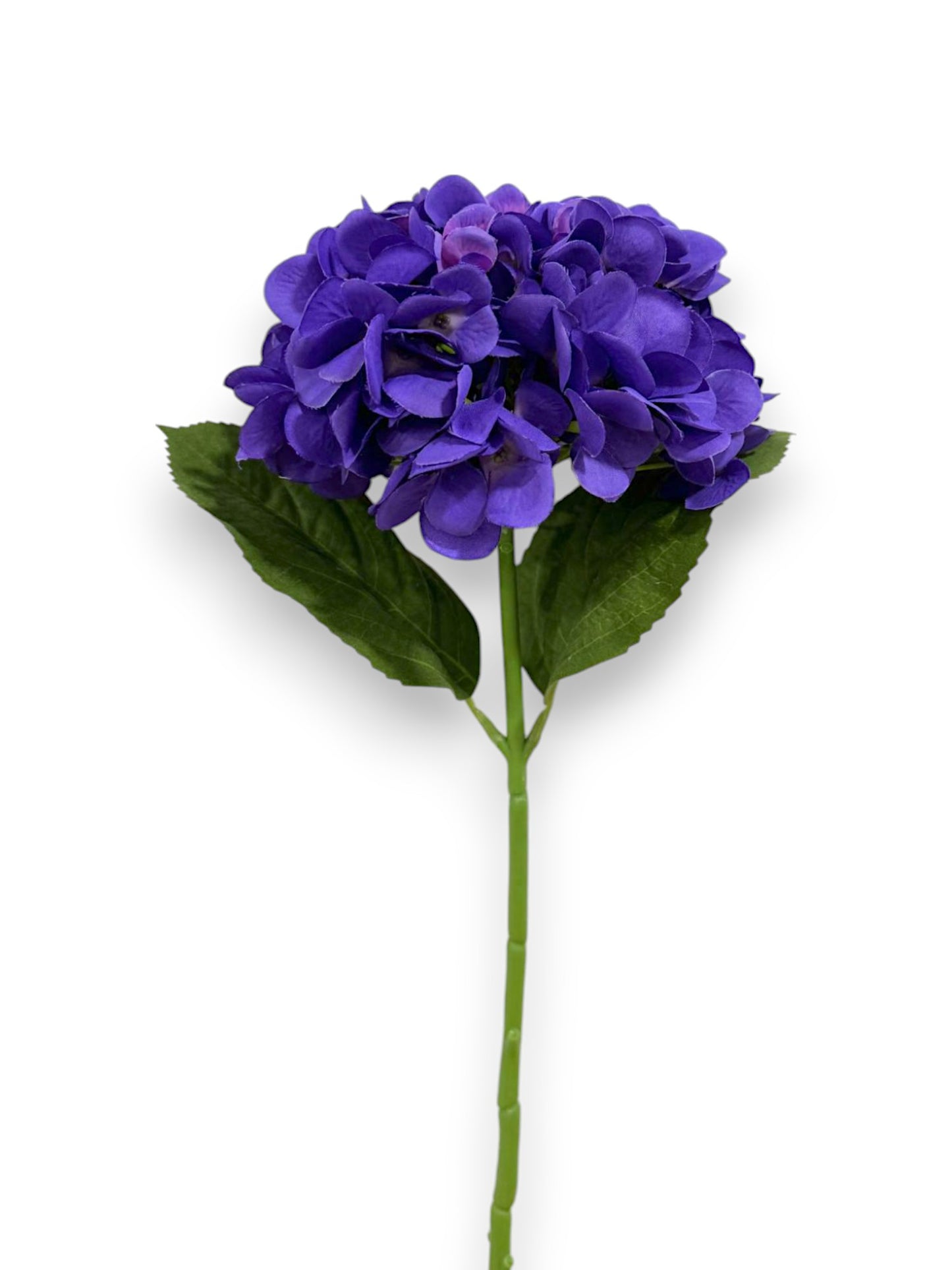 HYDRANGEA 7"BLOOM 2LV