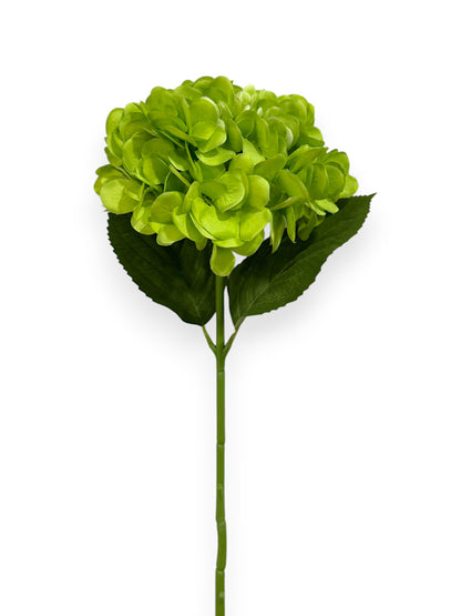 HYDRANGEA 7"BLOOM 2LV