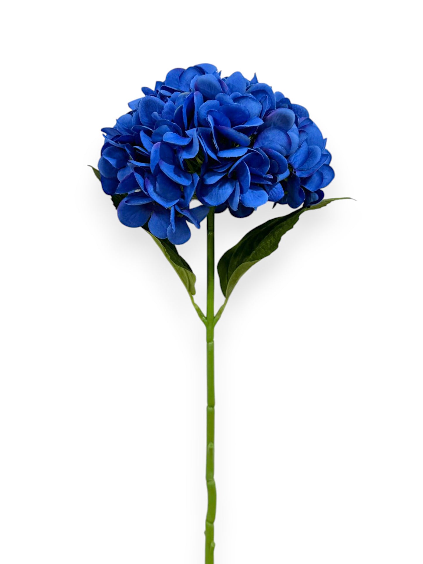 HYDRANGEA 7"BLOOM 2LV