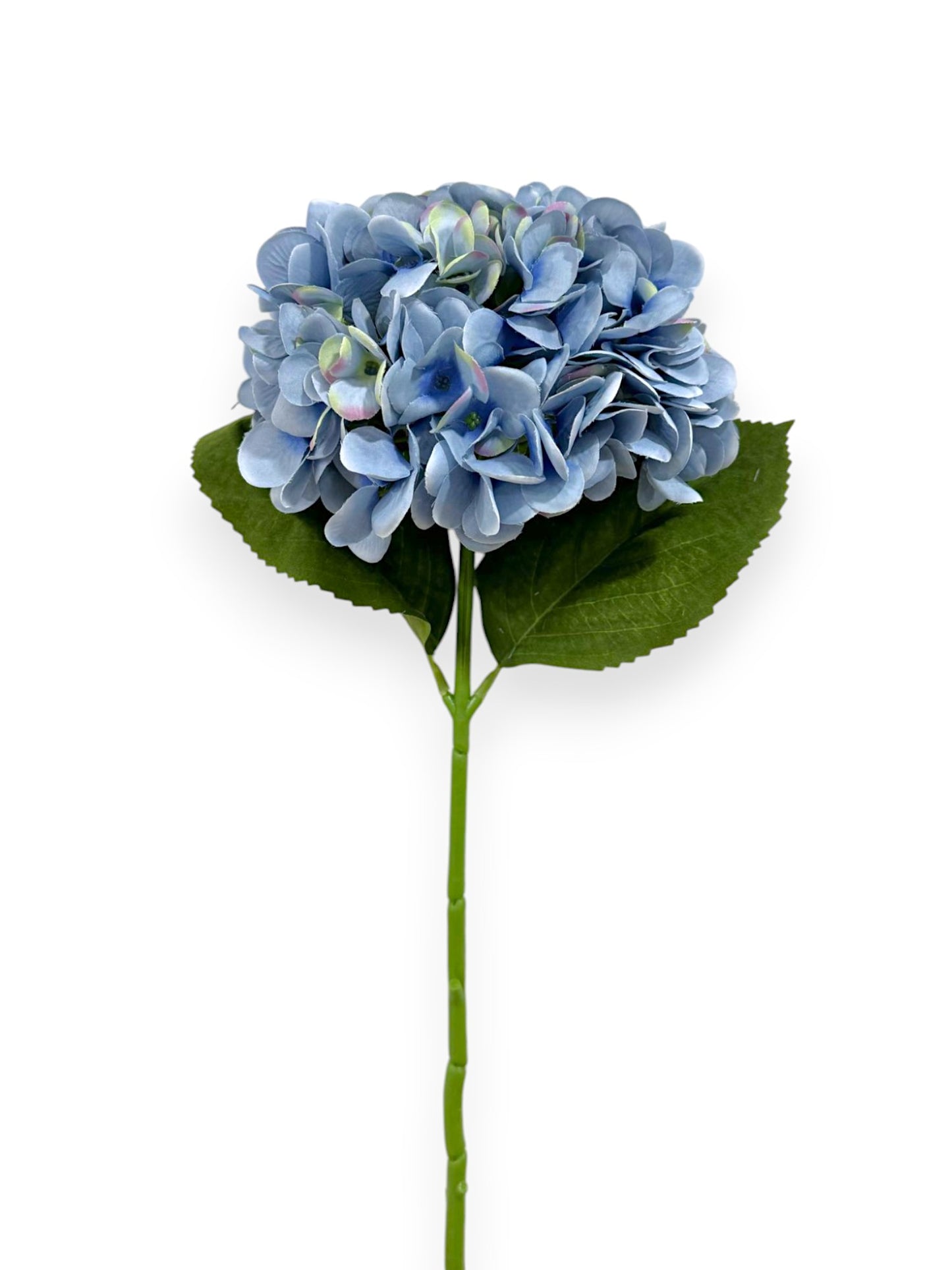 HYDRANGEA 7"BLOOM 2LV