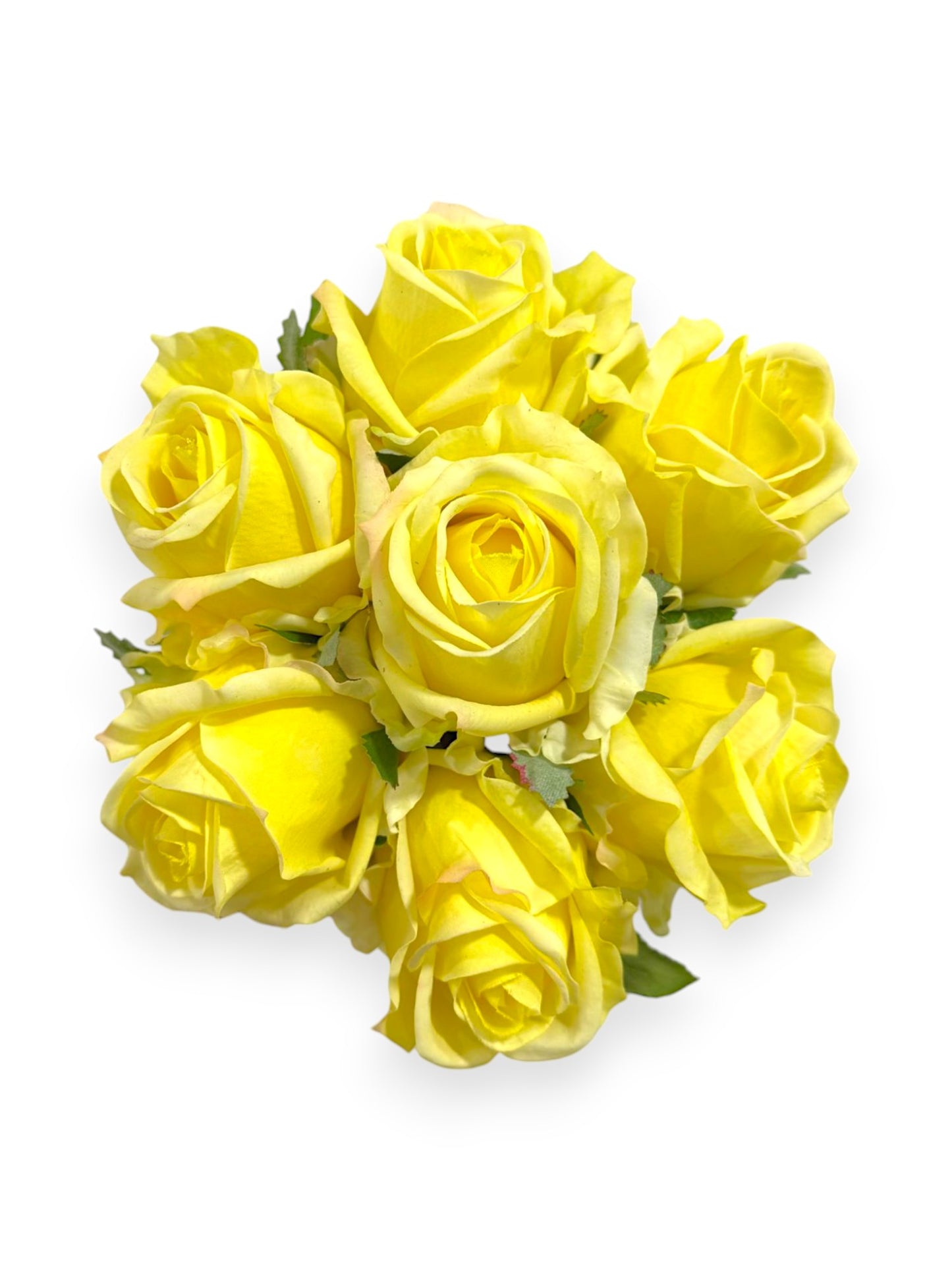 NAT TOUCH ROSE X7