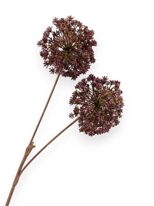 ALLIUM SPRAY 70CM