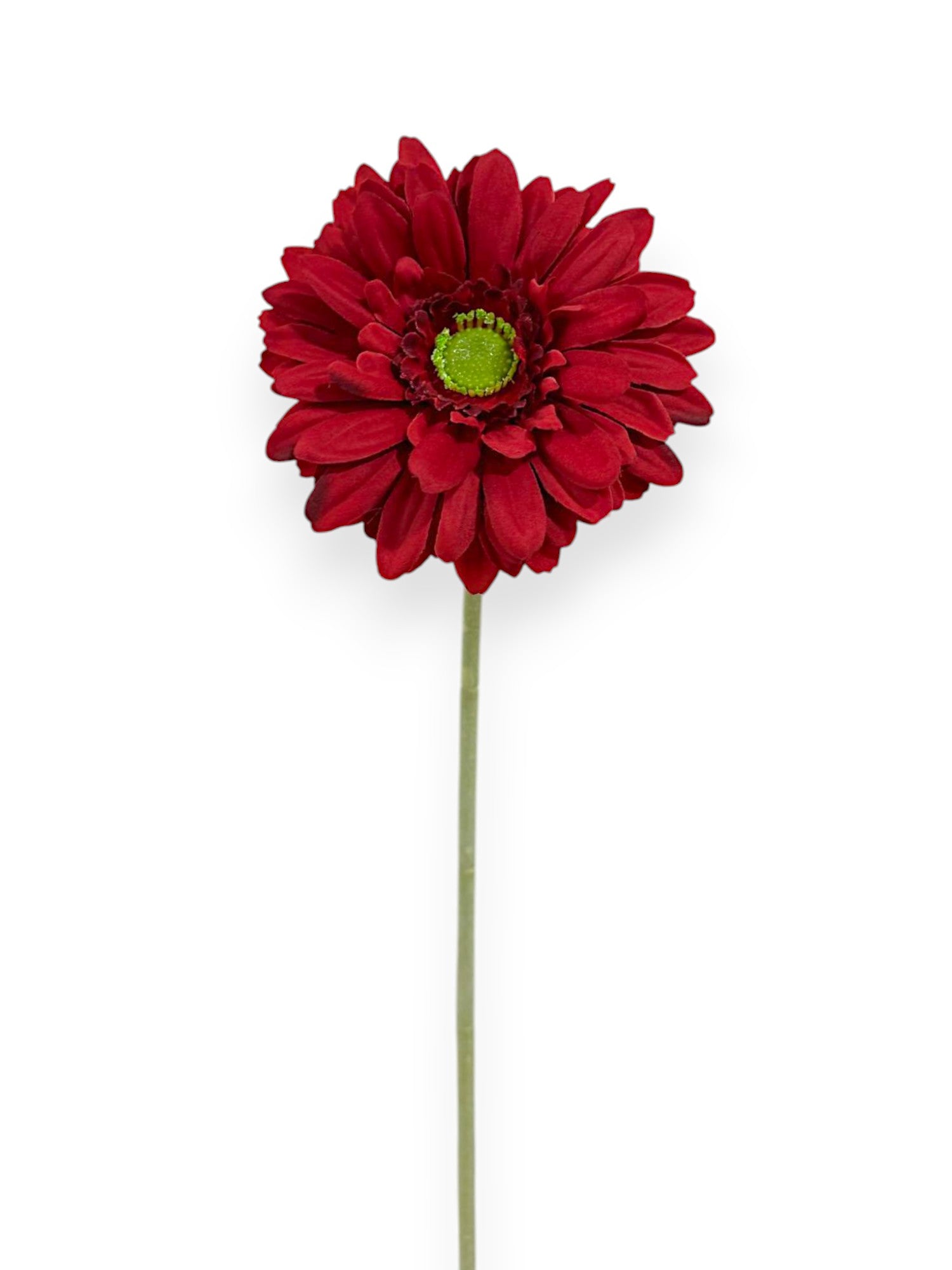 GERBERA SPRAY 57CM