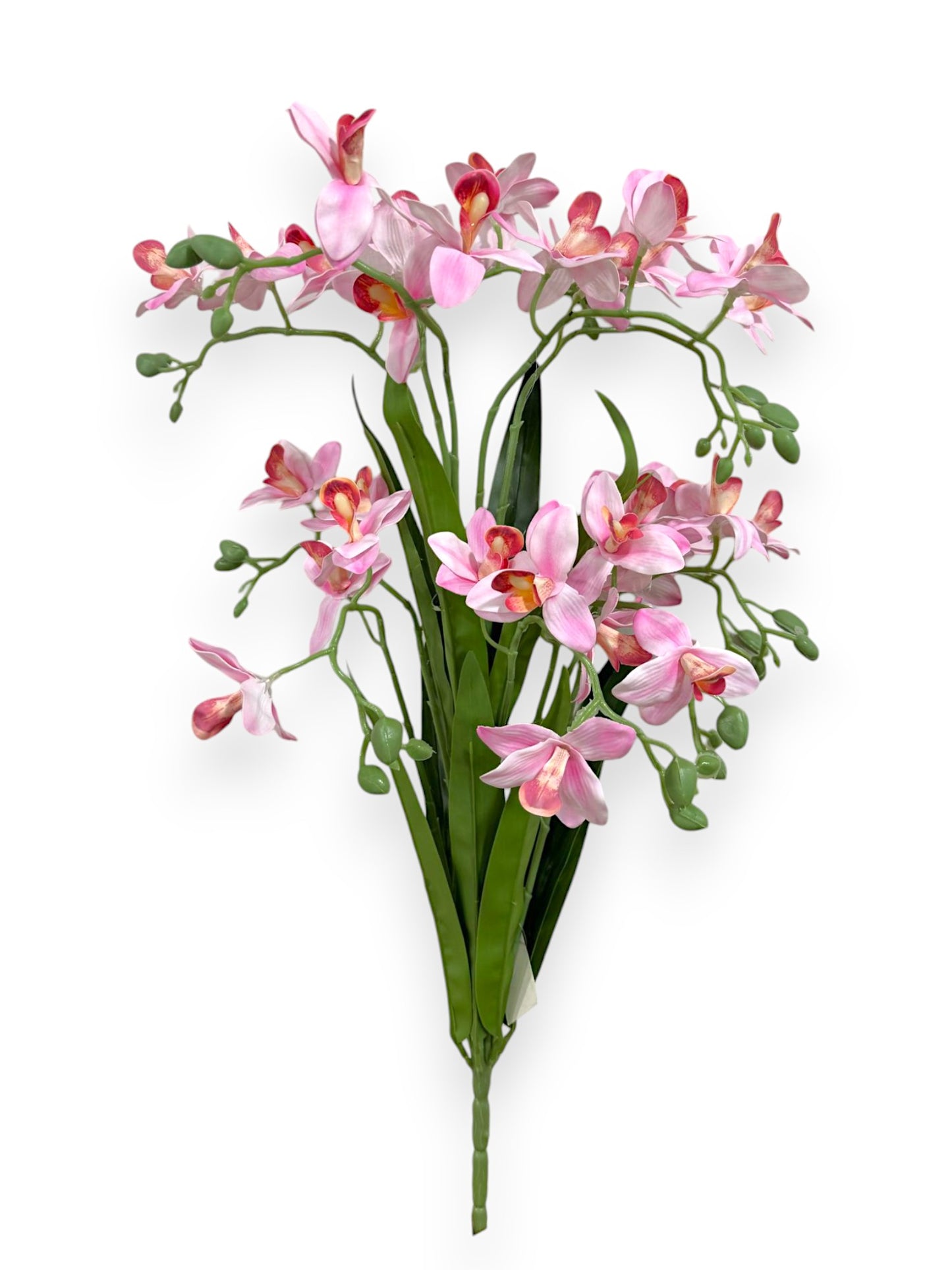 ORCHID BUSH  20"
