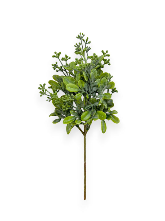 BOXWOOD PICK 27CM