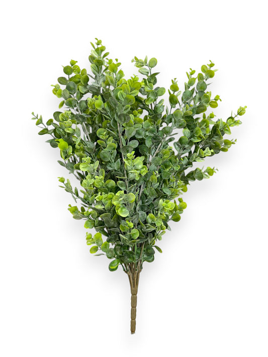 EUCALYPTUS BUSH 62CM
