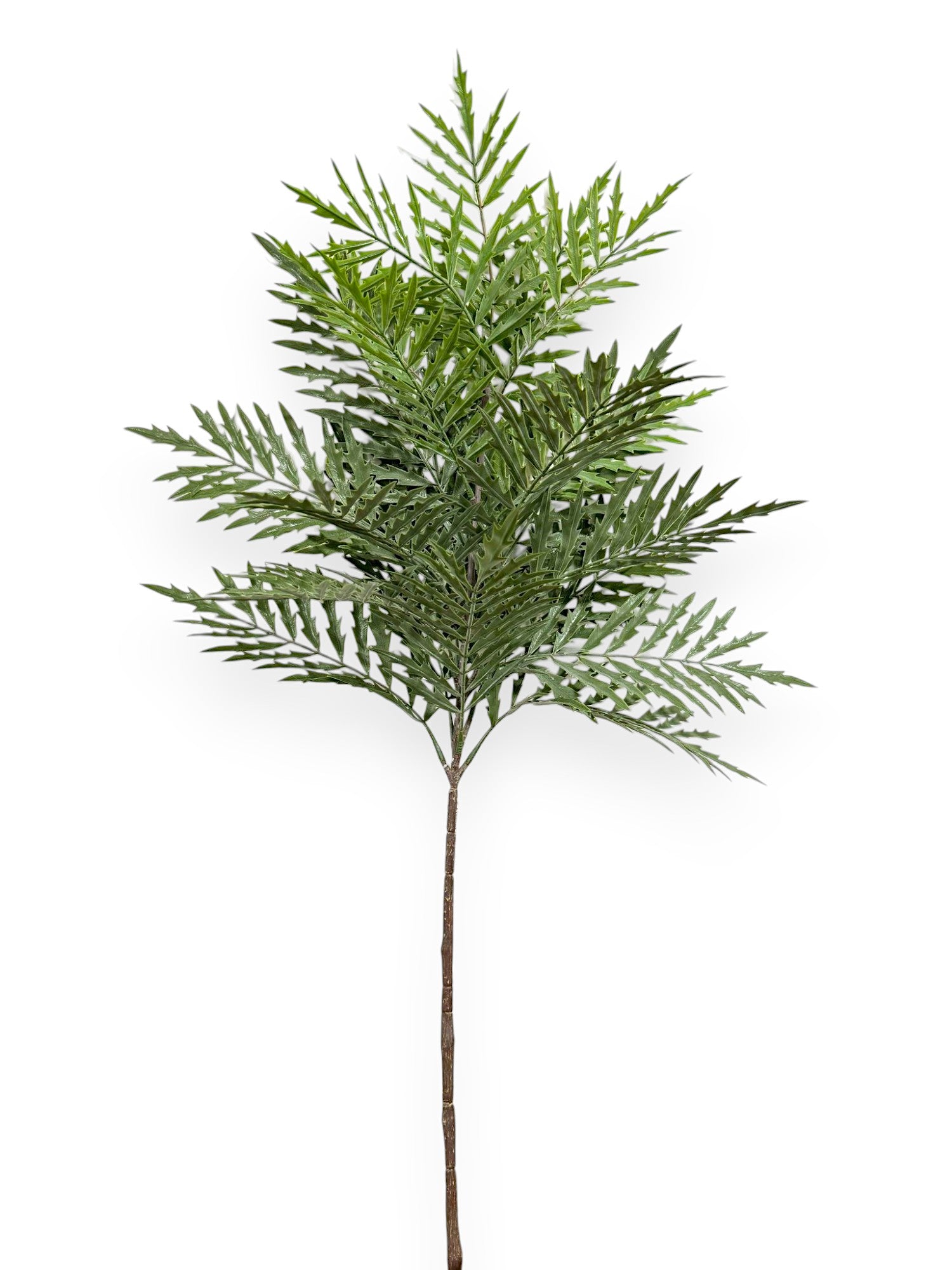 FERN SPRAY 106CM