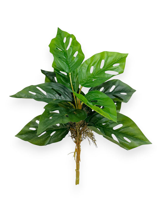 MINI MONSTERA PLANT