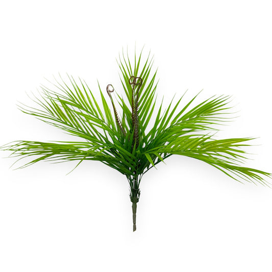 PALM BUSH X12
