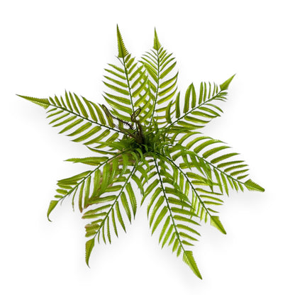 ARTIFICIAL FERN 19"