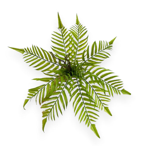 ARTIFICIAL FERN 19"