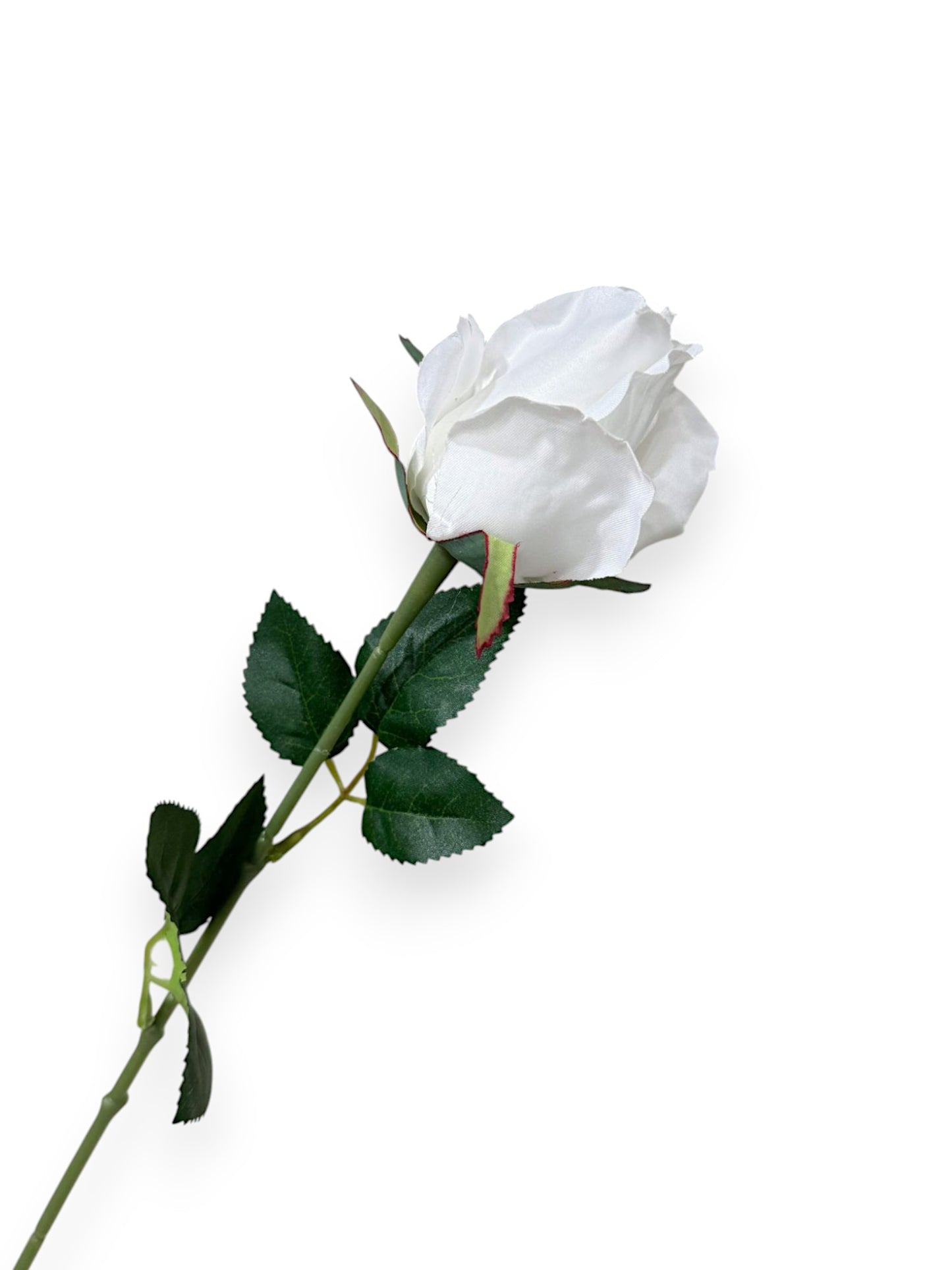 ROSE BUD SINGLE 21"