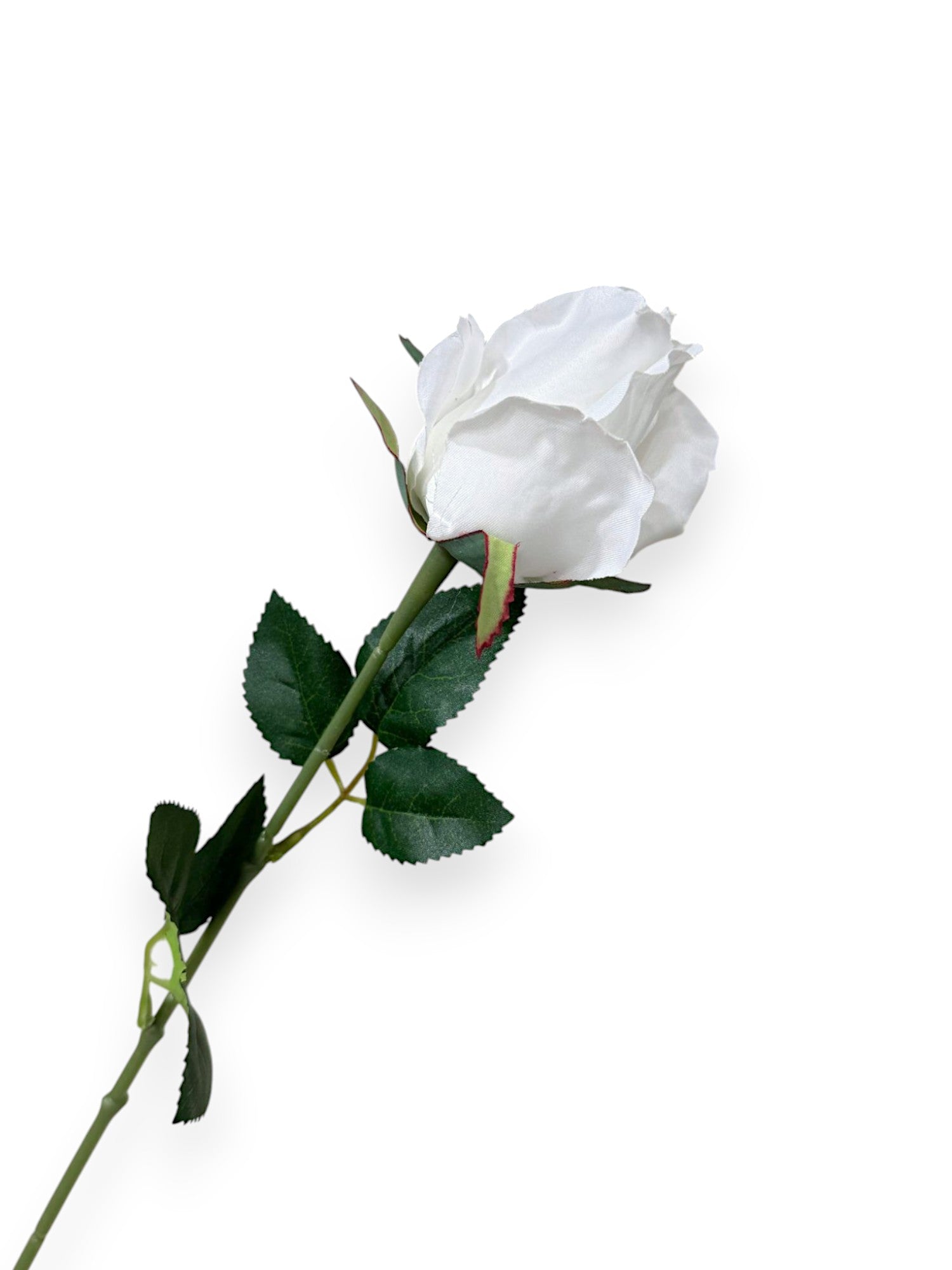 ROSE BUD SINGLE 21"