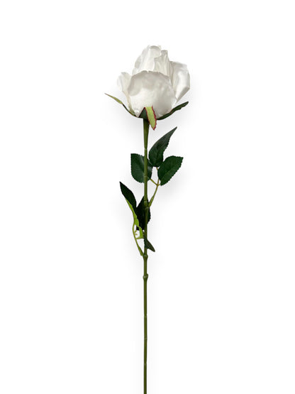 ROSE BUD SINGLE 21"