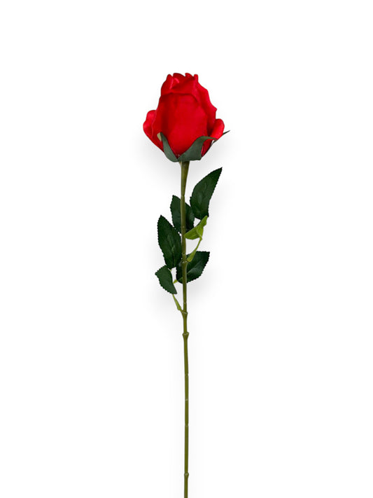 ROSE BUD SINGLE 21"