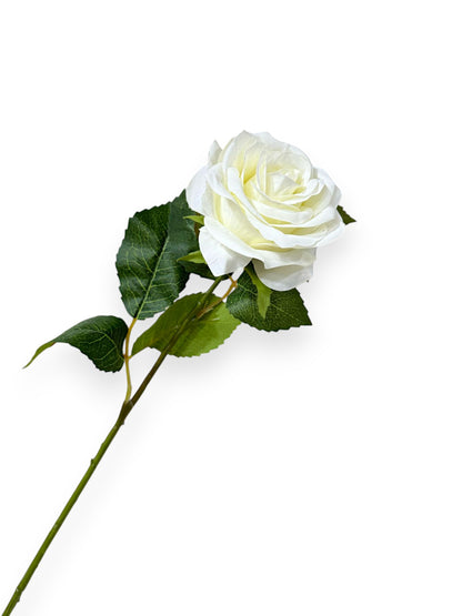 OPEN ROSE 20"
