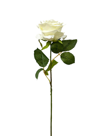 OPEN ROSE 20"