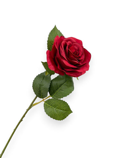 OPEN ROSE 20"