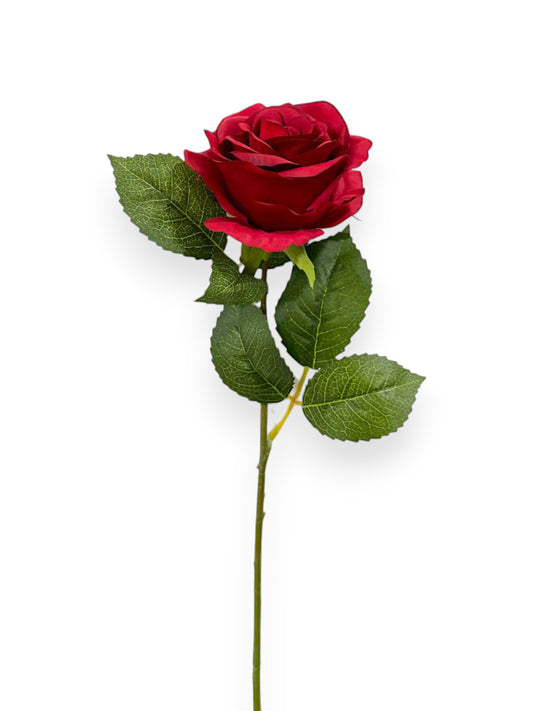 OPEN ROSE 20"