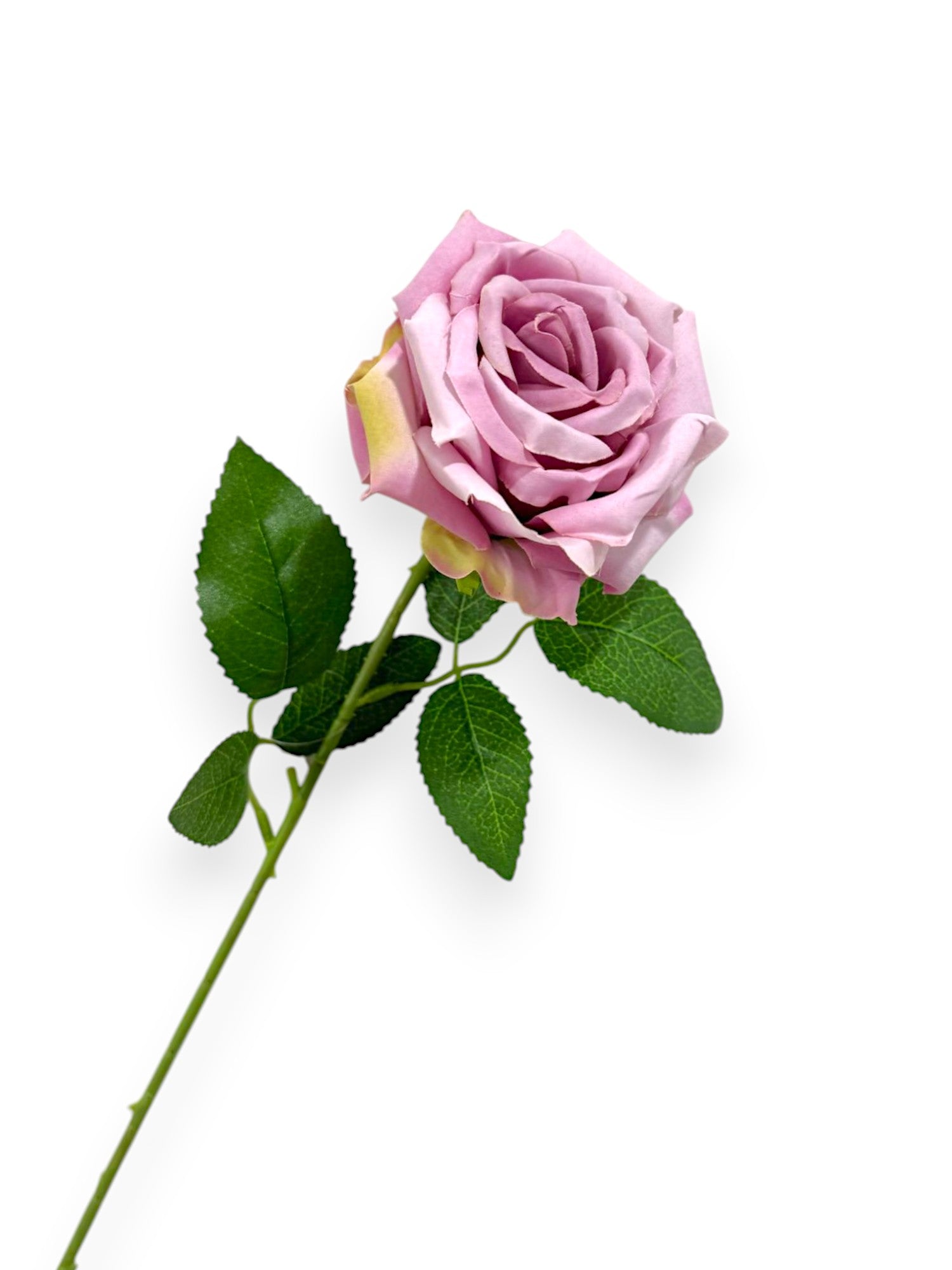 ROSE W/THORNS ST 26"