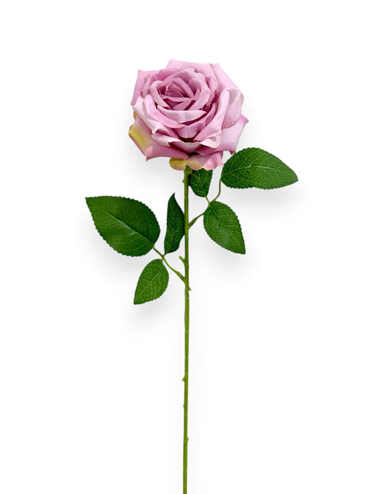 ROSE W/THORNS ST 26"