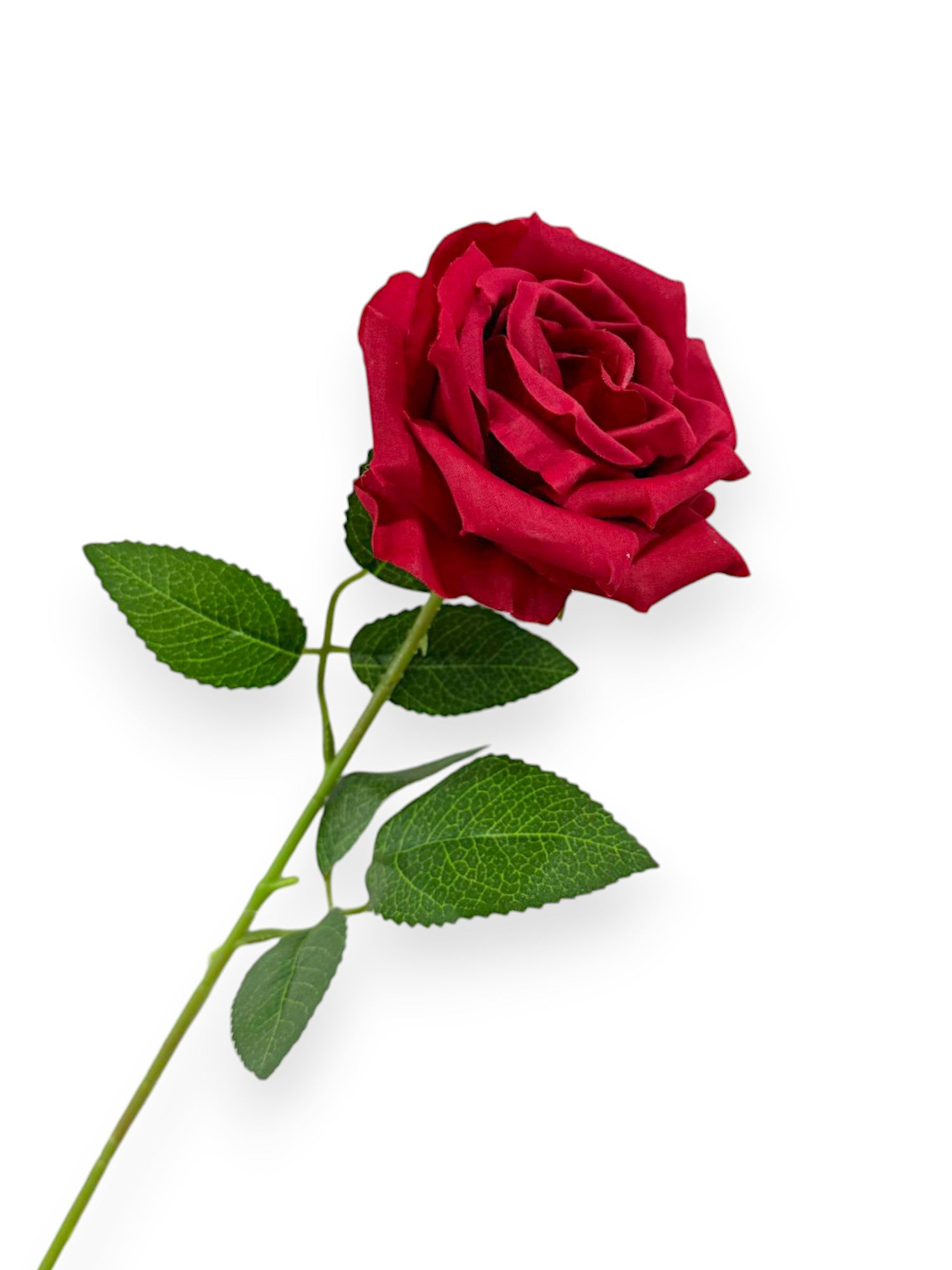 ROSE W/THORNS ST 26"
